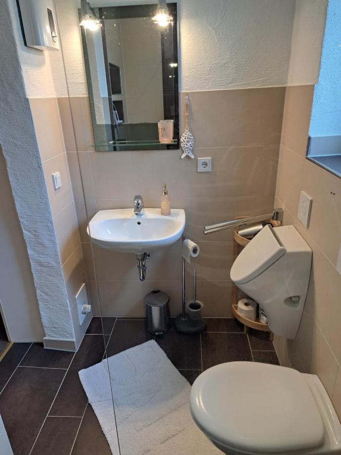 Ferienwohnung Eberhard Altes Winzerhaus ブライ エクステリア 写真