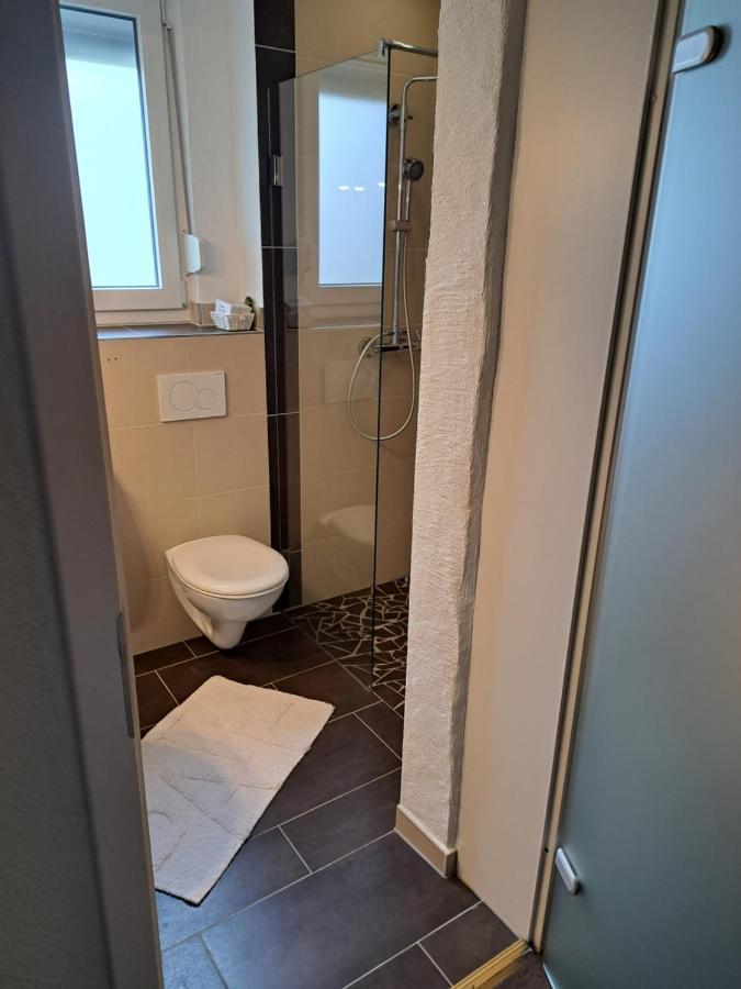 Ferienwohnung Eberhard Altes Winzerhaus ブライ エクステリア 写真